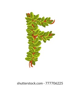 Letter F, English alphabet made of tree branches, ecology element for banner, card, label, presentation or poster vector Illustration