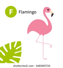 Letter F. Flamingo. Exotic tropical pink bird. Zoo animal alphabet. English abc with cute cartoon kawaii funny baby animals. Education cards for kids. White background. Flat design Vector illustration