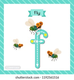 Letter F lowercase cute children colorful zoo and animals ABC alphabet tracing flashcard of Fly for kids learning English vocabulary and handwriting vector illustration.