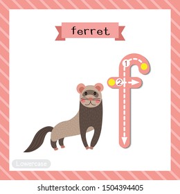 Letter F lowercase cute children colorful zoo and animals ABC alphabet tracing flashcard of Standing Ferret for kids learning English vocabulary and handwriting vector illustration.