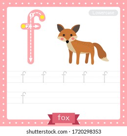 Letter F lowercase cute children colorful zoo and animals ABC alphabet tracing practice worksheet of Standing Fox for kids learning English vocabulary and handwriting vector illustration.