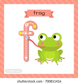 Letter F lowercase cute children colorful zoo and animals ABC alphabet tracing flashcard of Frog eating fly for kids learning English vocabulary and handwriting vector illustration.