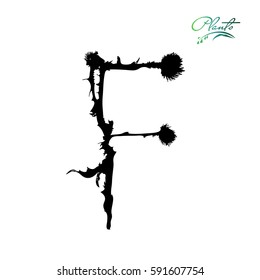 Letter F from plants with thorns and spines. Wild plant, weed with seeds, grains. Detailed vector illustration.