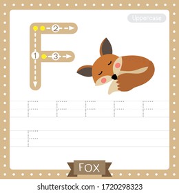 Letter F uppercase cute children colorful zoo and animals ABC alphabet tracing practice worksheet of Sleeping Fox for kids learning English vocabulary and handwriting vector illustration.