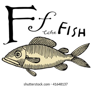 letter for fish with typography