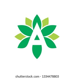 letter A form of the flower