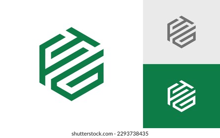 Letter FTG initial hexagon monogram logo design vector