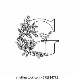 Letter G with flowers and bird, linear figure, vector