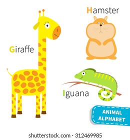 Letter G H I Giraffe Hamster Iguana Zoo alphabet. English abc with animals Education cards for kids Isolated White background Flat design Vector illustration