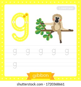 Letter G lowercase cute children colorful zoo and animals ABC alphabet tracing practice worksheet of Gibbon sitting on branch for kids learning English vocabulary and handwriting vector illustration.