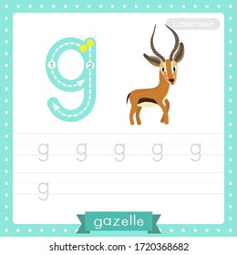 Letter G lowercase cute children colorful zoo and animals ABC alphabet tracing practice worksheet of Standing Gazelle for kids learning English vocabulary and handwriting vector illustration.