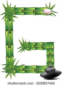 Letra G hecha con árbol de bambú