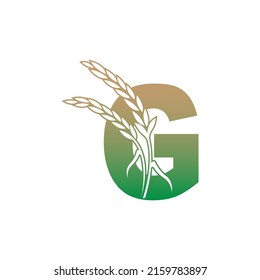 Letter G with rice plant icon illustration template vector