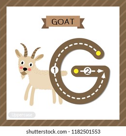Letter G uppercase cute children colorful zoo and animals ABC alphabet tracing flashcard of Standing Goat for kids learning English vocabulary and handwriting vector illustration.
