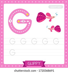 Letter G uppercase cute children colorful zoo and animals ABC alphabet tracing practice worksheet of Pink Guppy fish for kids learning English vocabulary and handwriting vector illustration.