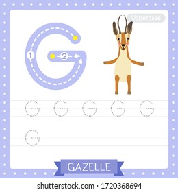 Letter G uppercase cute children colorful zoo and animals ABC alphabet tracing practice worksheet of Standing Gazelle for kids learning English vocabulary and handwriting vector illustration.