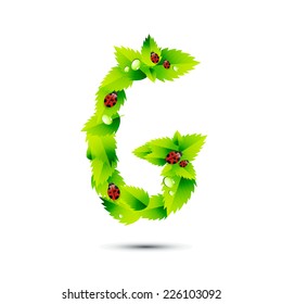 Letter G, vector alphabet of green leaves,ladybugs and water drop on white background