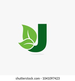 Letter green leaf logo illustration.