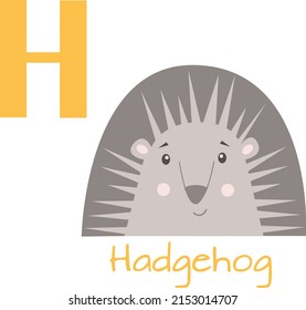 The letter H in the alphabet with the image of the animal Hedgehog