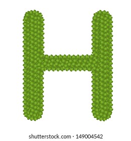 Letter H, Alphabet Letters Made of Four Leaf Clover Isolated on White Background 