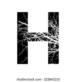  Letter H double exposure with white tree isolated on black background.Vector illustration.Black and white double exposure silhouette lettering combined with photograph of nature. Letters  alphabet.