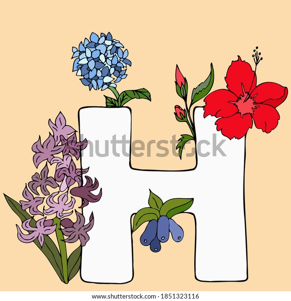 Letter H English Alphabet Hyacinth Hibiscus Stock Vector Royalty Free