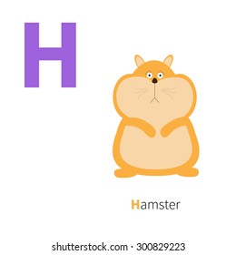 Letter H Hamster Zoo alphabet. English abc with animals Education cards for kids Isolated White background Flat design Vector illustration