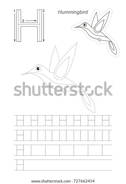 Letter H Hummingbird Dot Dot Educational Stock Vector (Royalty Free ...