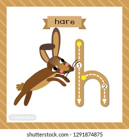 Letter H lowercase cute children colorful zoo and animals ABC alphabet tracing flashcard of Jumping Hare for kids learning English vocabulary and handwriting vector illustration.