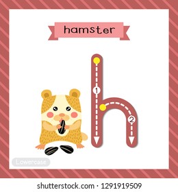 Letter H lowercase cute children colorful zoo and animals ABC alphabet tracing flashcard of Hamster eating sunflower seeds for kids learning English vocabulary and handwriting vector illustration.