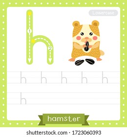 Letter H lowercase cute children colorful zoo and animals ABC alphabet tracing practice worksheet of Hamster eating seeds for kids learning English vocabulary and handwriting vector illustration.