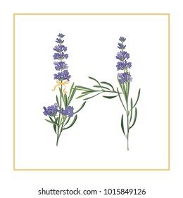 Letter H monogram. Retro sign alphabet with lavender flower initial. Watercolor style, botanical illustration isolated on white. Vintage vector font typeface