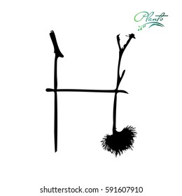 Letter H from plants with thorns and spines. Wild plant, weed with seeds, grains. Detailed vector illustration.