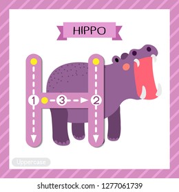 Letter H uppercase cute children colorful zoo and animals ABC alphabet tracing flashcard of Hippopotamus opening mouth for kids learning English vocabulary and handwriting vector illustration.