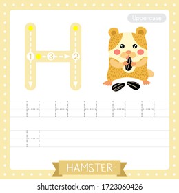 Letter H uppercase cute children colorful zoo and animals ABC alphabet tracing practice worksheet of Hamster eating seeds for kids learning English vocabulary and handwriting vector illustration.