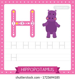 Letter H uppercase cute children colorful zoo and animals ABC alphabet tracing practice worksheet of Hippopotamus for kids learning English vocabulary and handwriting vector illustration.