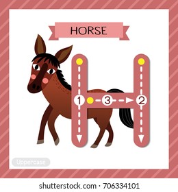 Letter H uppercase cute children colorful zoo and animals ABC alphabet tracing flashcard of Standing Horse for kids learning English vocabulary and handwriting vector illustration.