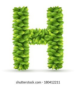 Letter H, vector alphabet of green leaves  on white background
