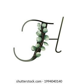 Letter H vector illustration with eucalyptus leaves. Floral alphabet. Monogram initials are perfect for wedding invitations, greeting card, logo, poster. Festive design.