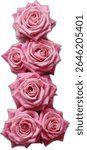 A letter "i", designed vertically stacked arrangement of four pink roses, each rose meticulously detailed, is presented against a stark white backdrop, creating a visually appealing and elegant image.