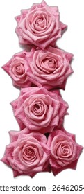 A letter "i", designed vertically stacked arrangement of four pink roses, each rose meticulously detailed, is presented against a stark white backdrop, creating a visually appealing and elegant image.