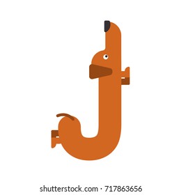 Letter J is dog. pet font. Dachshund alphabet. Lettering home animal