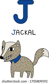 letter J jackal a wolf-like is native to Europe, Asia, South Asia. Smaller and short legs, tail. Cartoon doodle flat design character with English vocabulary background. Wildlife vector drawing.