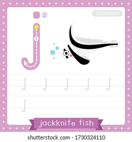 Letter J lowercase cute children colorful zoo and animals ABC alphabet tracing practice worksheet of Jackknife Fish for kids learning English vocabulary and handwriting vector illustration.