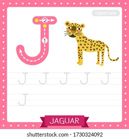 Letter J uppercase cute children colorful zoo and animals ABC alphabet tracing practice worksheet of Jaguar for kids learning English vocabulary and handwriting vector illustration.