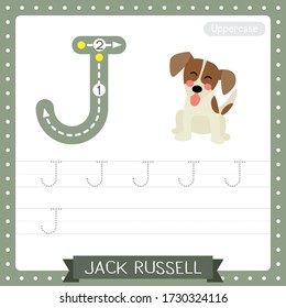 Letter J uppercase cute children colorful zoo and animals ABC alphabet tracing practice worksheet of Sitting Jack Russell for kids learning English vocabulary and handwriting vector illustration.