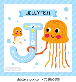 Letter J uppercase cute children colorful zoo and animals ABC alphabet tracing flashcard of Orange Jellyfish for kids learning English vocabulary and handwriting vector illustration.