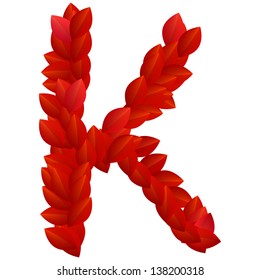 Letter K of alphabet made from red petals