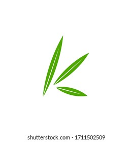 letter k green leaf motion simple geometric symbol logo vector