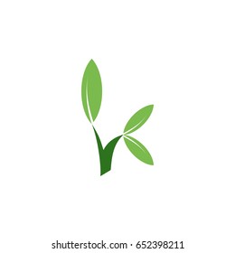letter k with leaf logo